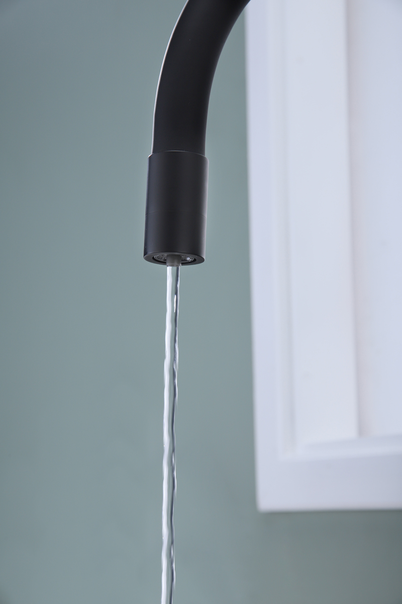 Превью картинка Смеситель для кухни Paulmark SALIX Sa213419-AN Антрацит #9