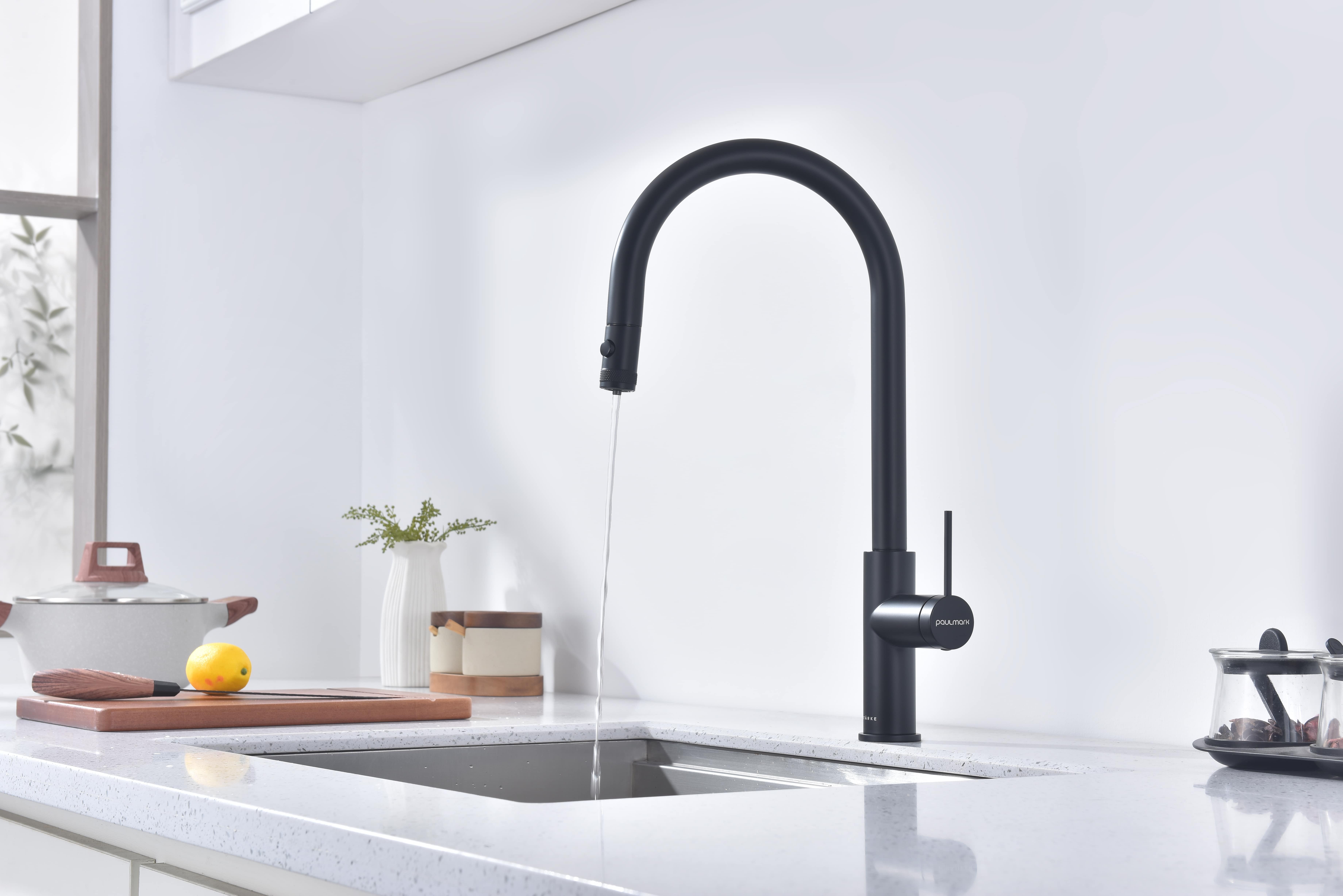 Превью картинка Смеситель для кухни Paulmark GALANT Ga213077-AN Антрацит #7