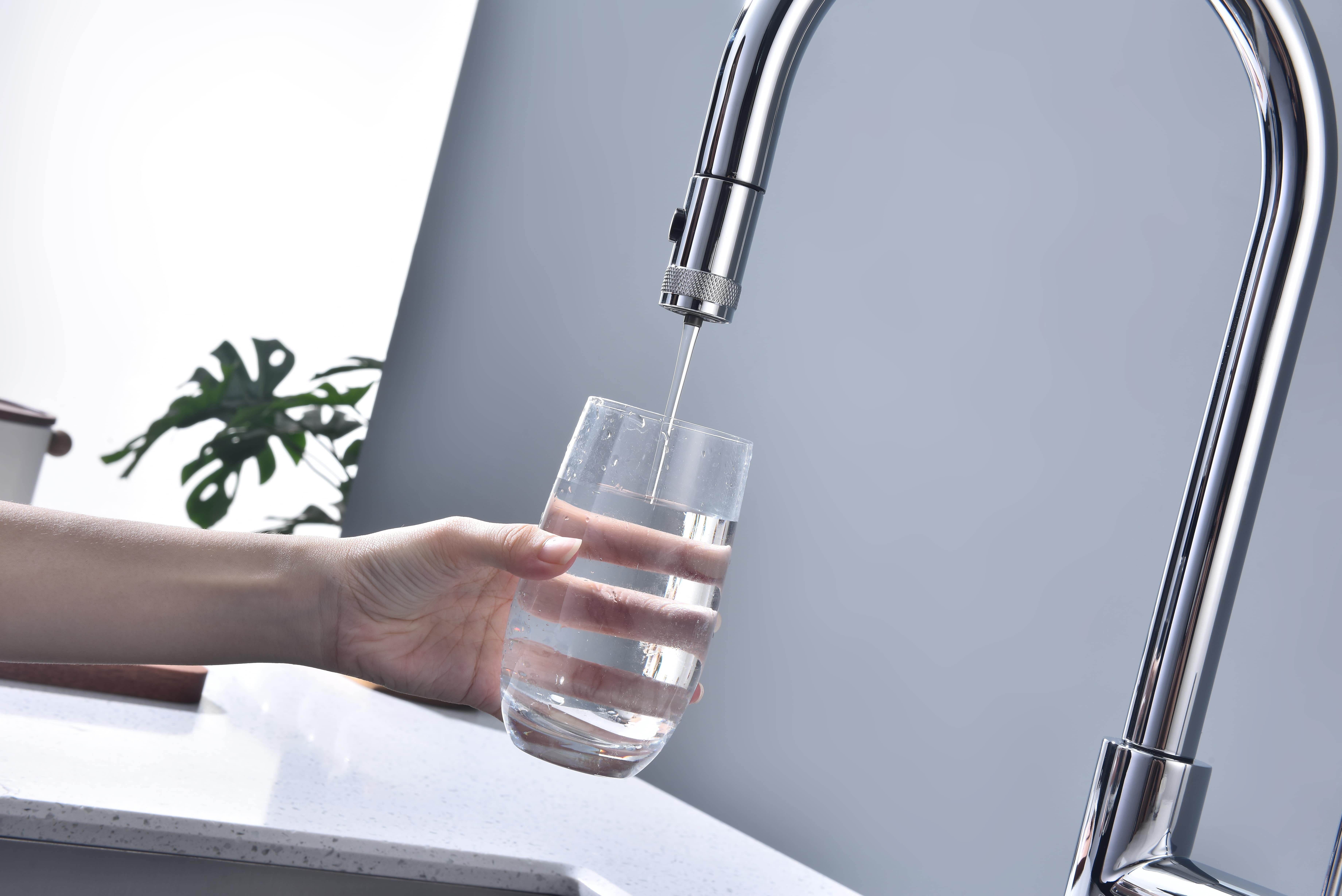 Превью картинка Смеситель для кухни Paulmark GALANT Ga213077-CR Хром CR #12