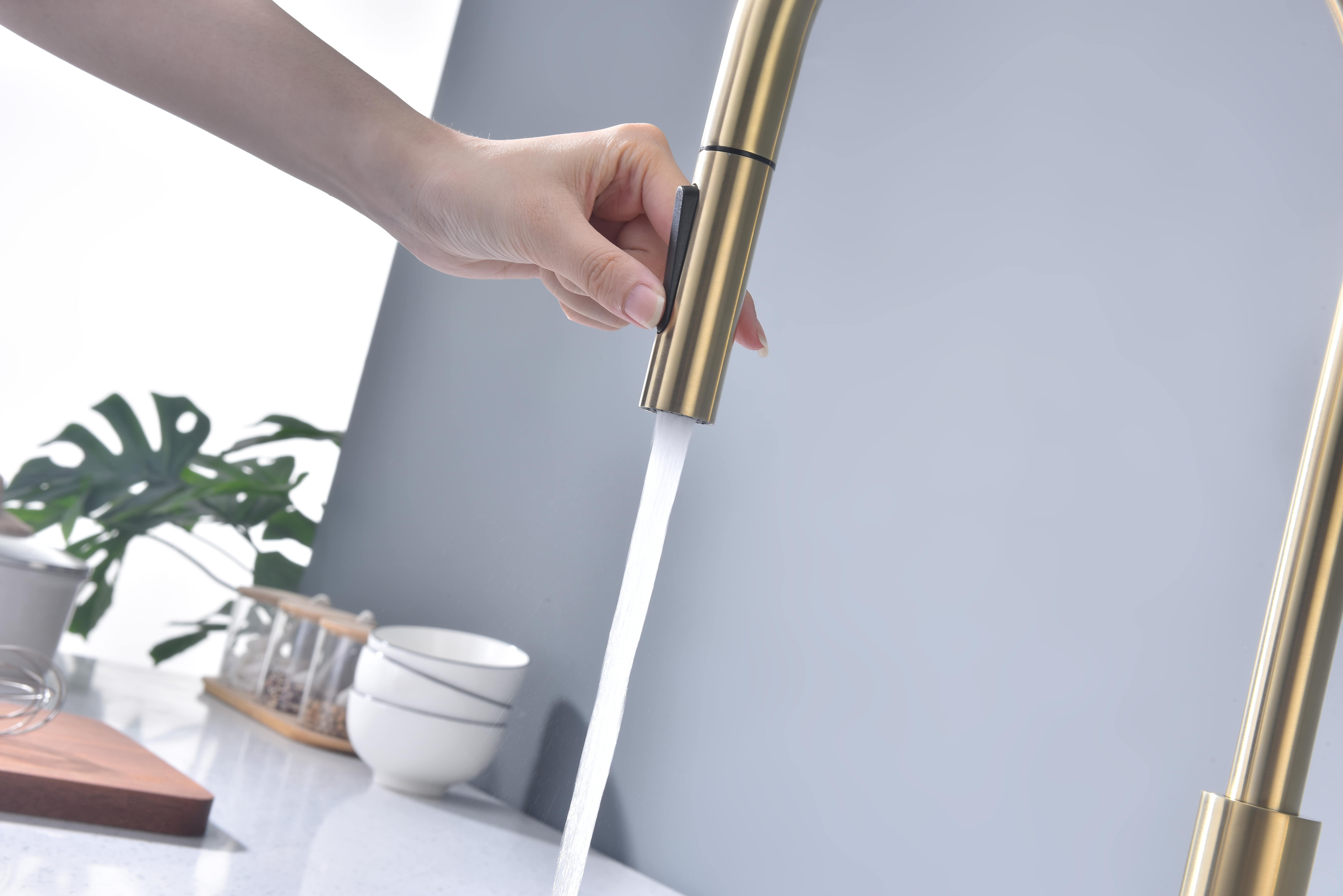 Превью картинка Смеситель для кухни Paulmark SENSO Se215180-LG Светлое золото #9