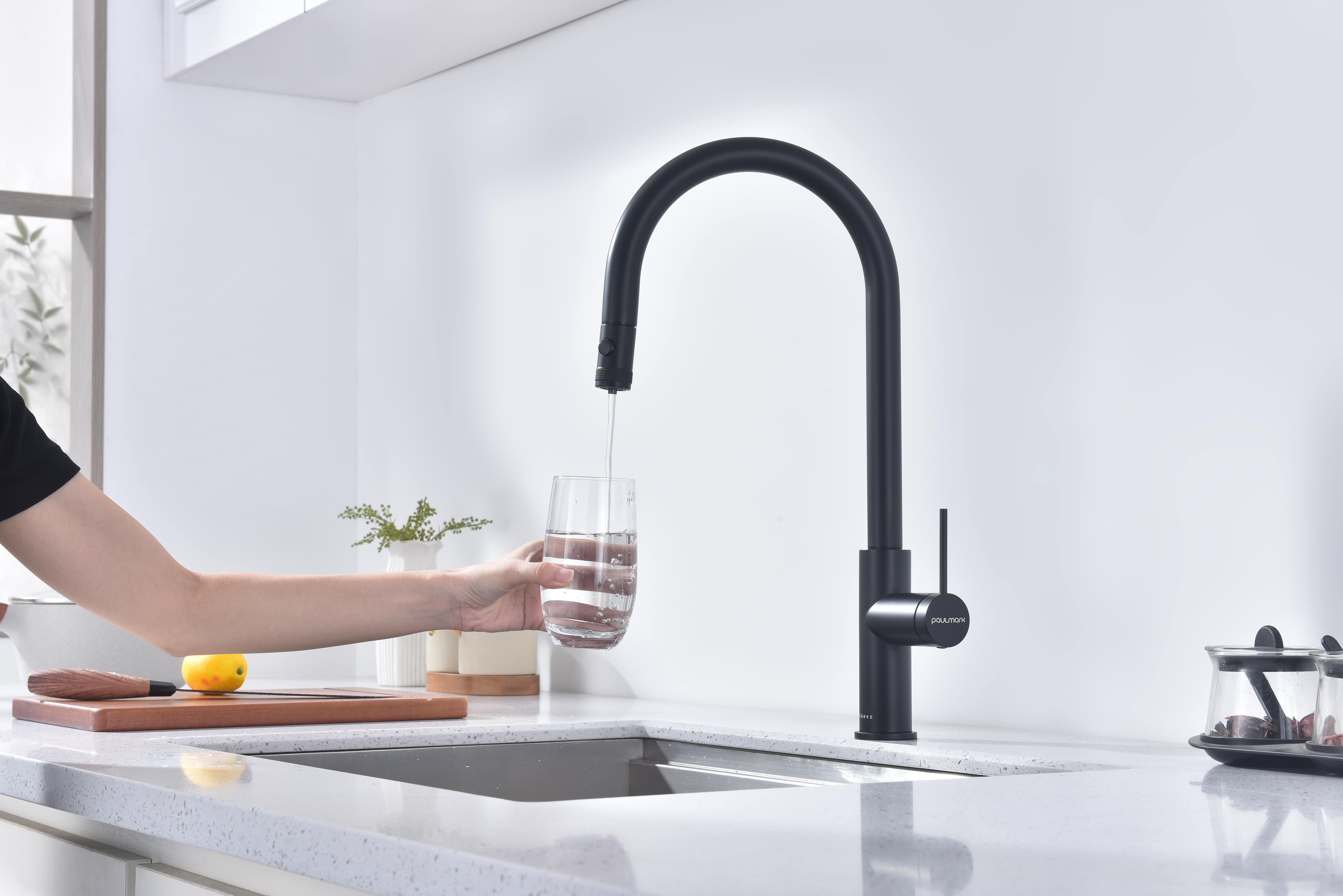 Превью картинка Смеситель для кухни Paulmark GALANT Ga213077-AN Антрацит #8