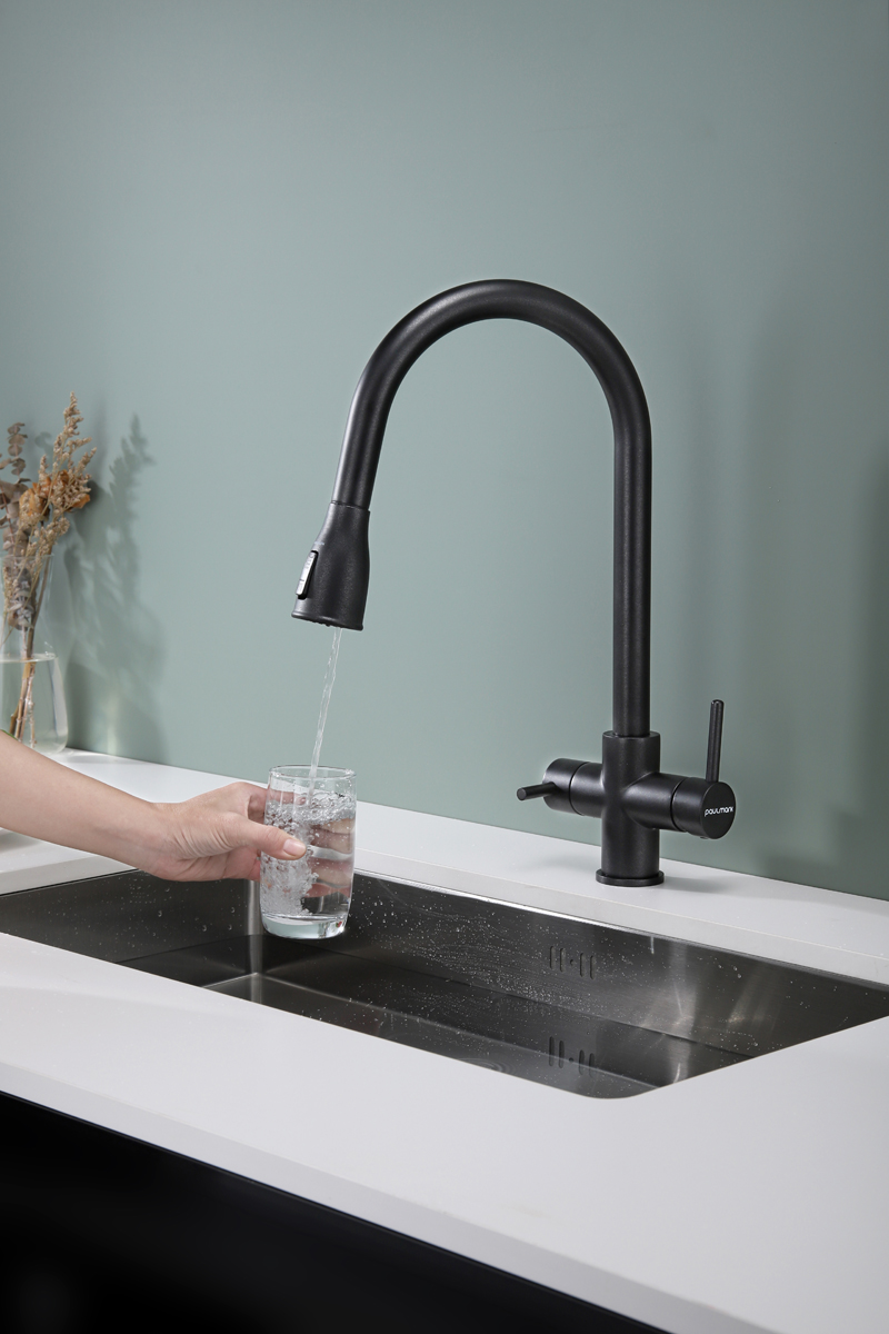 Превью картинка Смеситель для кухни Paulmark LANGE La214212-BLM Черный #6