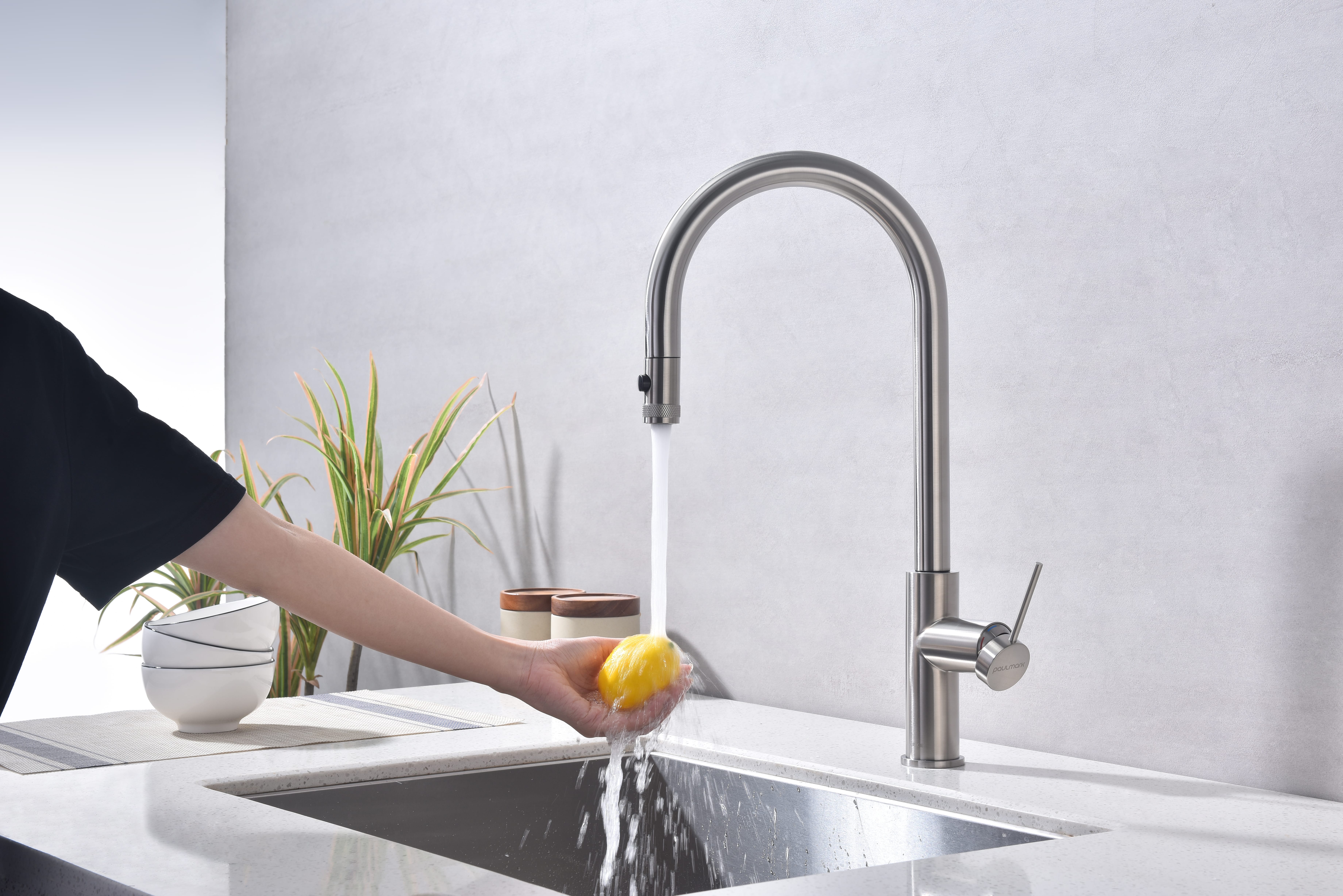 Превью картинка Смеситель для кухни Paulmark GALANT Ga213077-BS Брашированная сталь #6