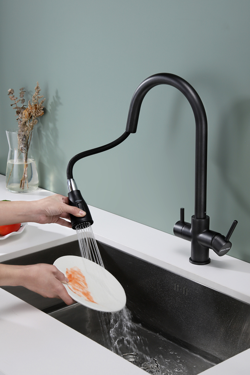 Превью картинка Смеситель для кухни Paulmark LANGE La214212-BLM Черный #7
