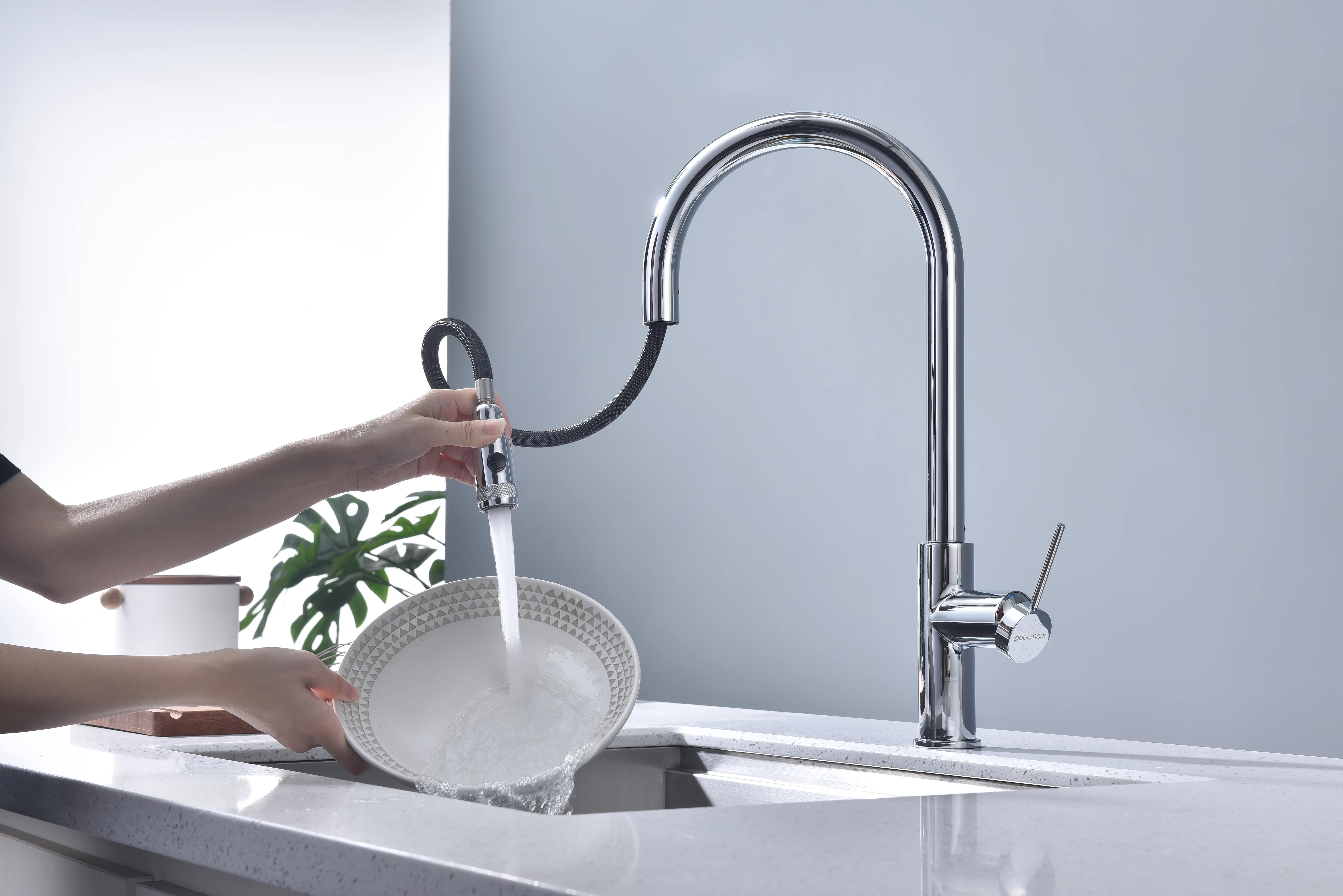 Превью картинка Смеситель для кухни Paulmark GALANT Ga213077-CR Хром CR #8