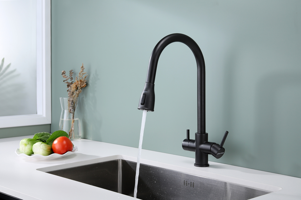 Превью картинка Смеситель для кухни Paulmark LANGE La214212-BLM Черный #4