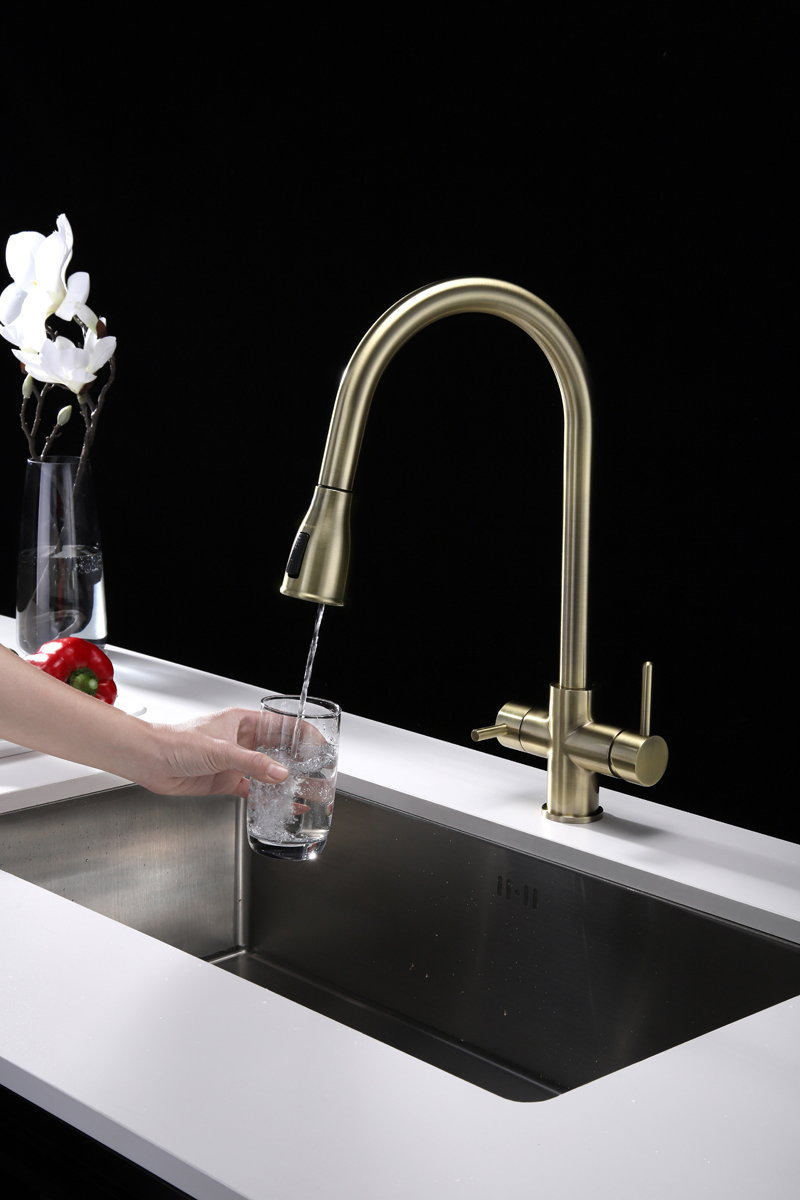 Превью картинка Смеситель для кухни Paulmark LANGE La214212-BR Бронза BR #6