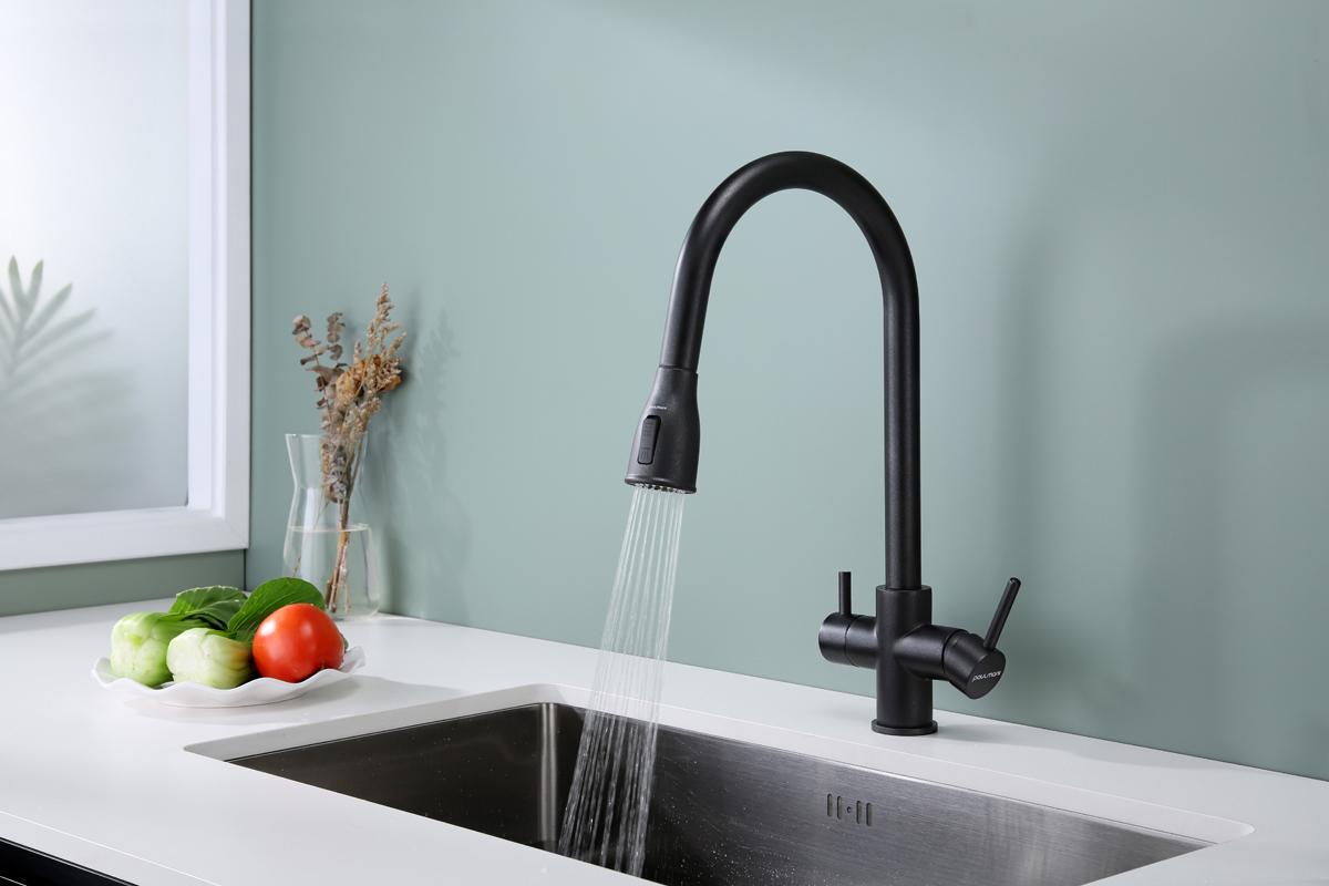 Превью картинка Смеситель для кухни Paulmark LANGE La214212-BLM Черный #5