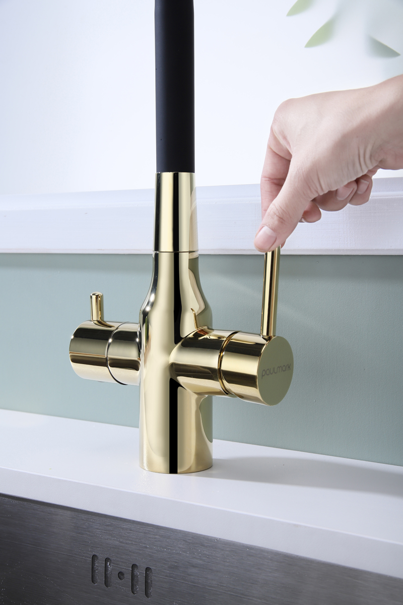Превью картинка Смеситель для кухни Paulmark SALIX Sa213419-G Золото G #11