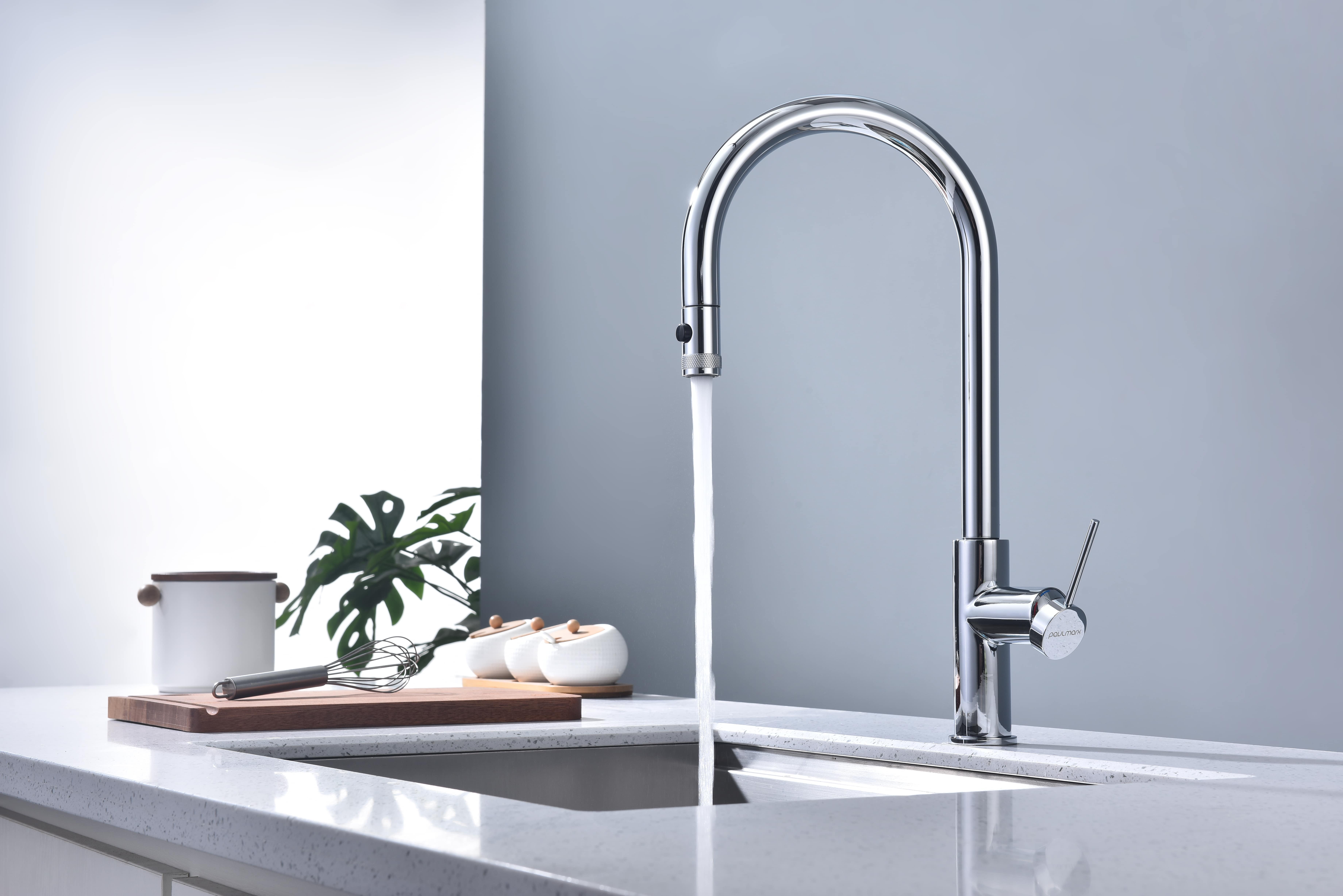 Превью картинка Смеситель для кухни Paulmark GALANT Ga213077-CR Хром CR #5