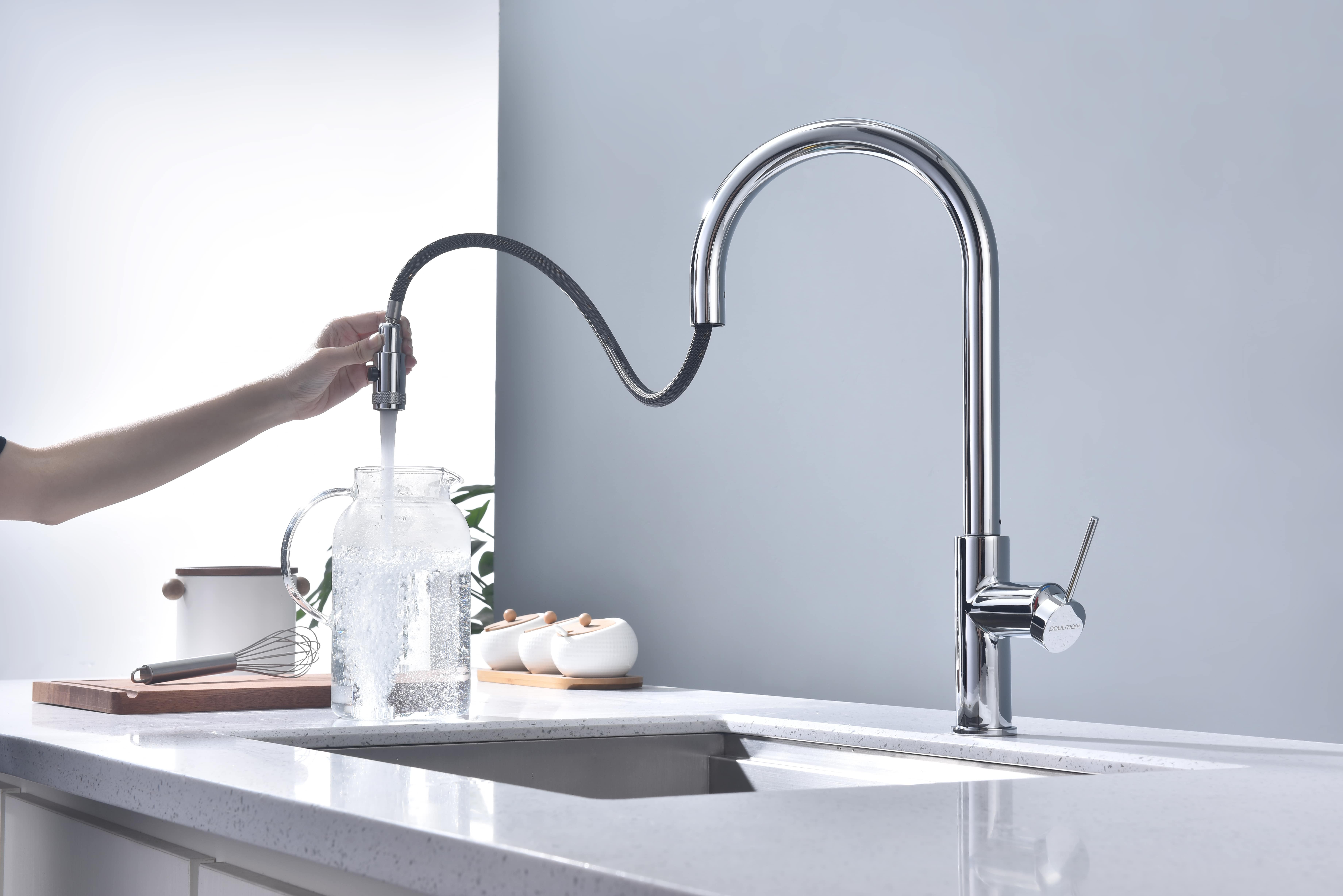 Превью картинка Смеситель для кухни Paulmark GALANT Ga213077-CR Хром CR #9