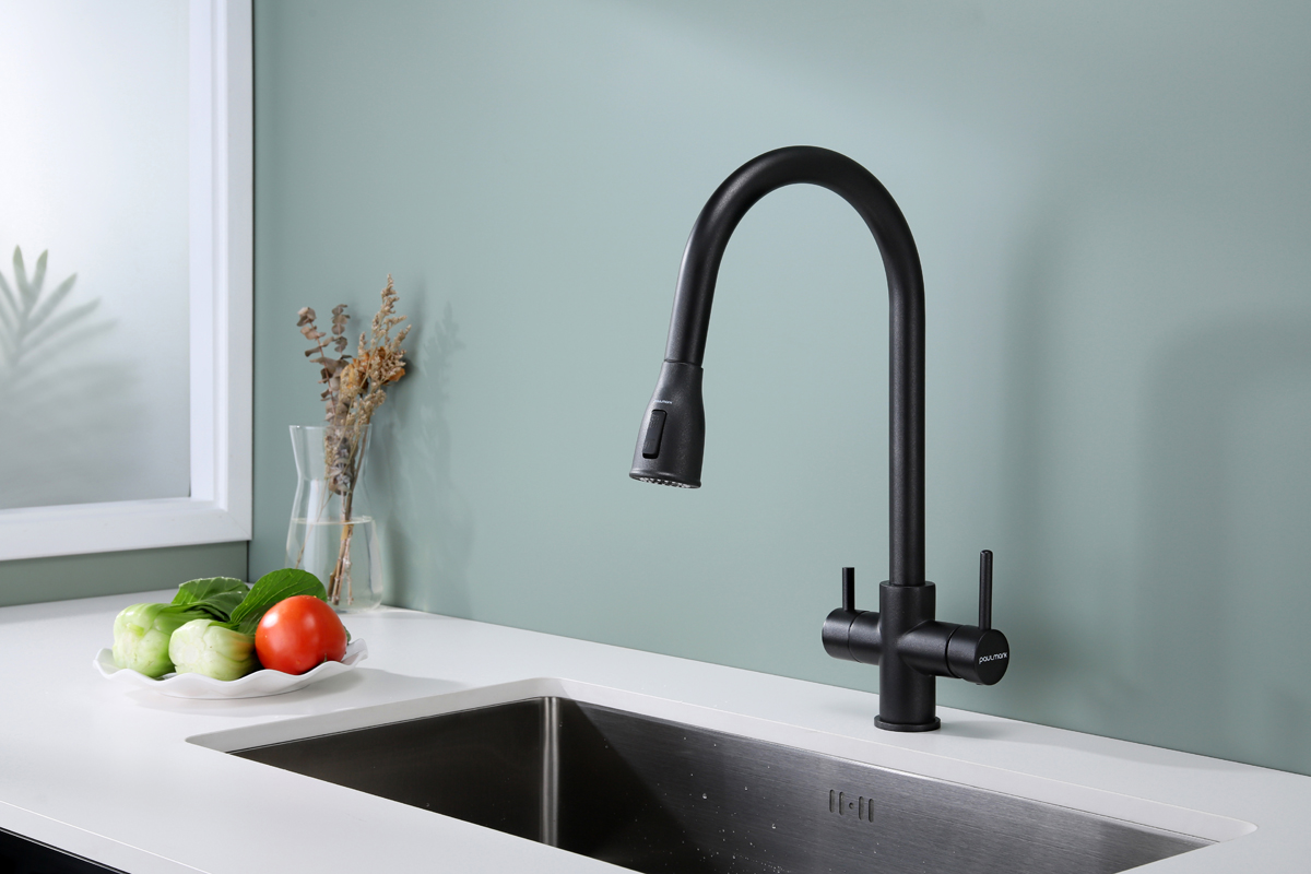 Превью картинка Смеситель для кухни Paulmark LANGE La214212-BLM Черный #3