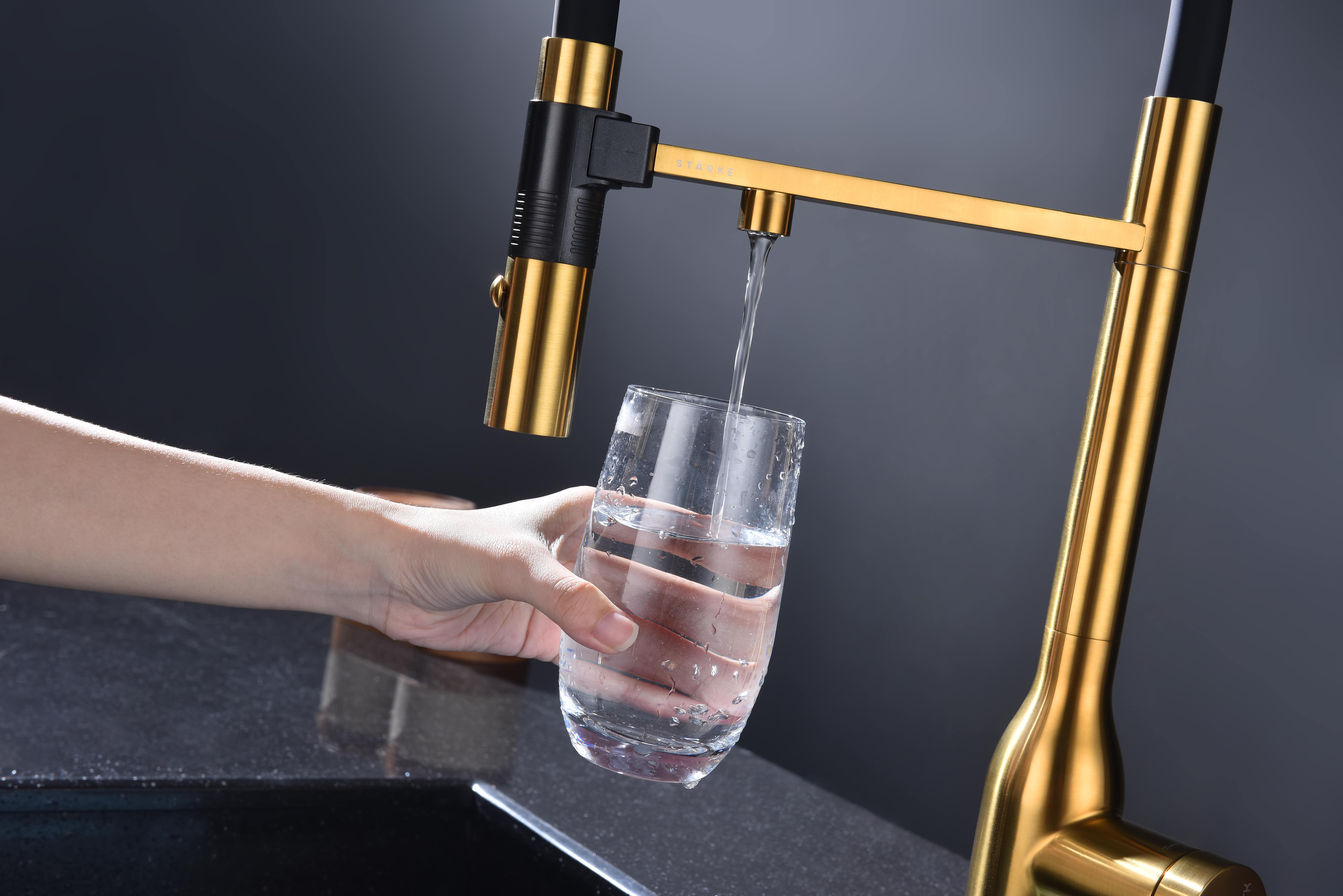 Превью картинка Смеситель для кухни Paulmark MAGNETO ONE Ma213188-BG Брашированное золото BG #13