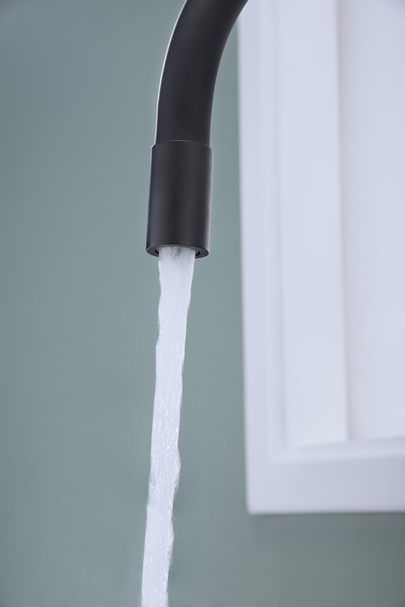 Превью картинка Смеситель для кухни Paulmark SALIX Sa213419-AN Антрацит #8