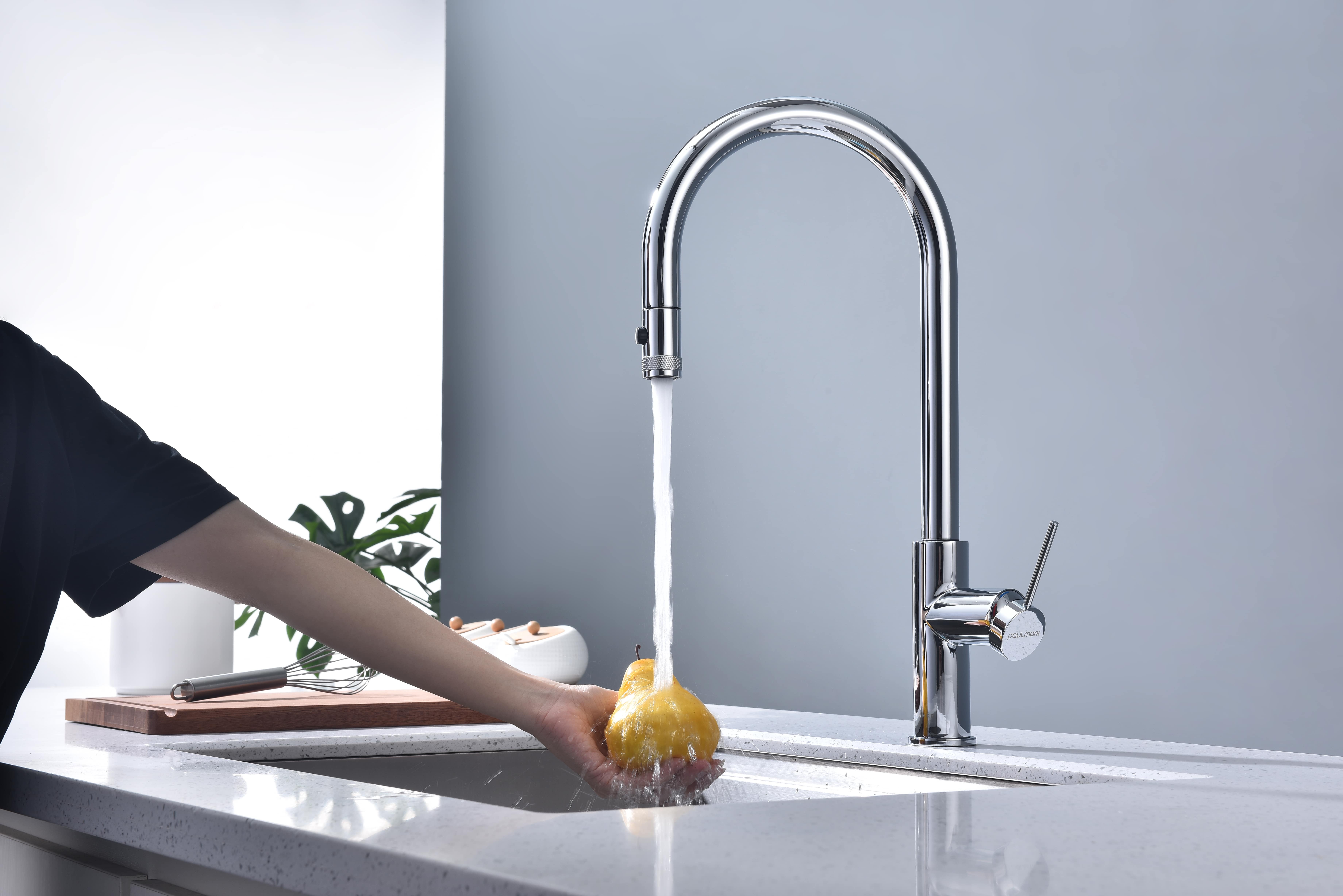 Превью картинка Смеситель для кухни Paulmark GALANT Ga213077-CR Хром CR #7