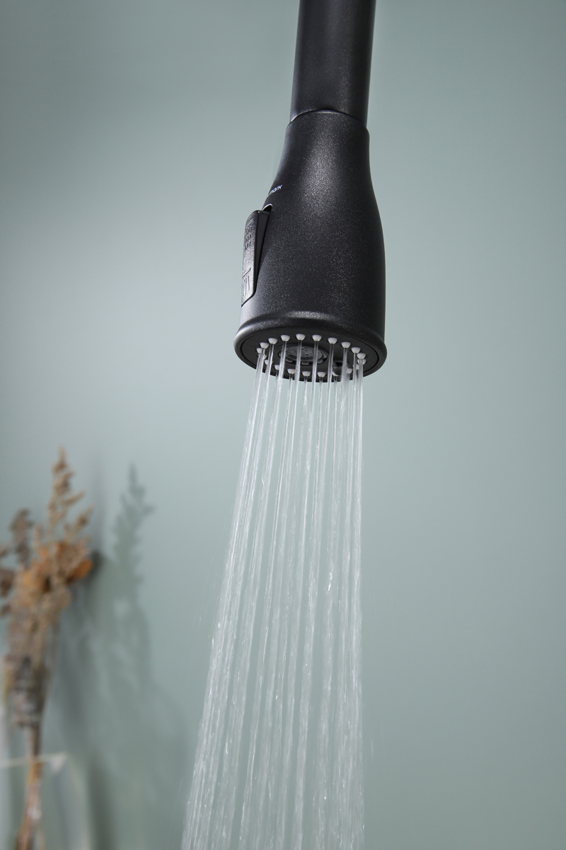 Превью картинка Смеситель для кухни Paulmark LANGE La214212-BLM Черный #10