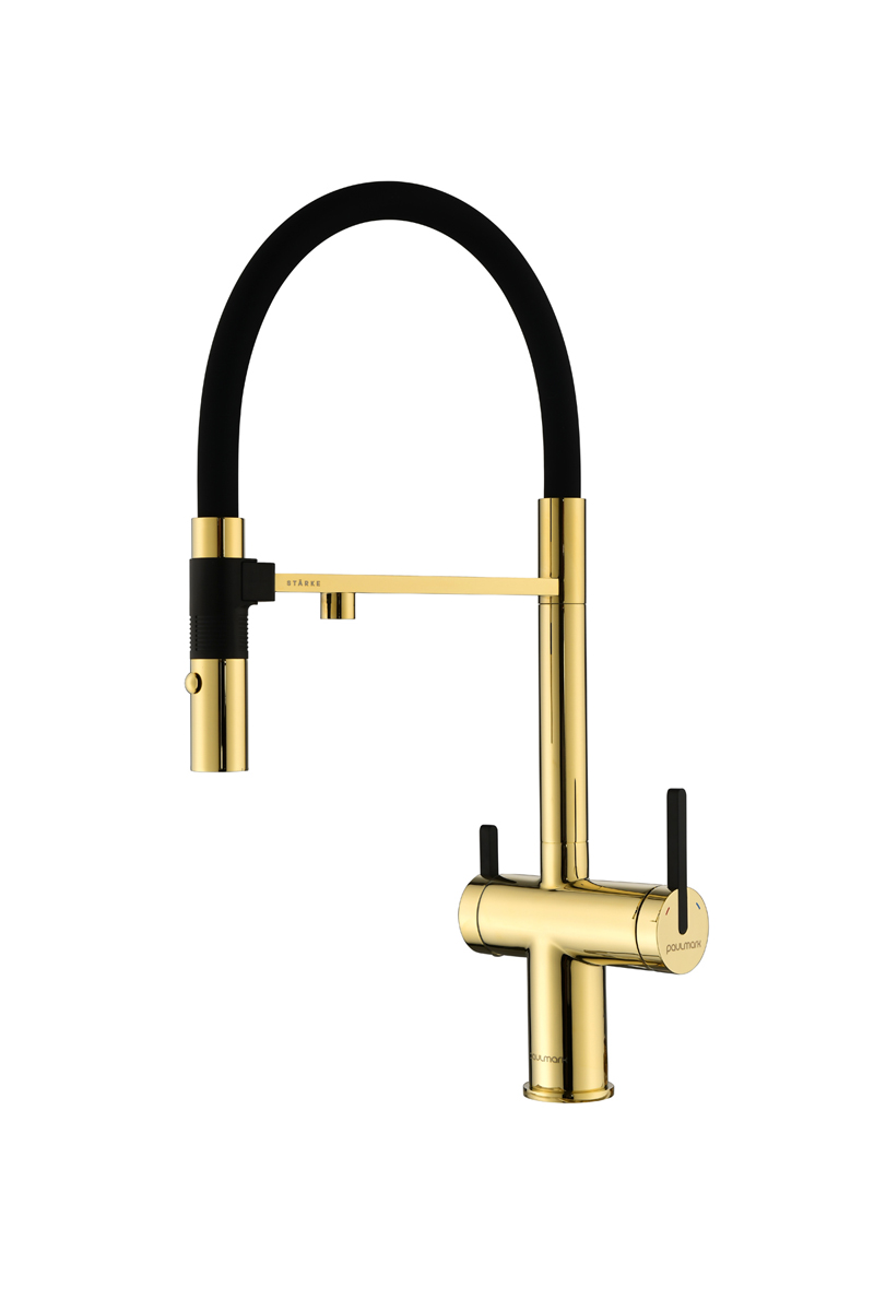 Превью картинка Смеситель для кухни Paulmark GRAVITY Gr213888-G Золото G #2