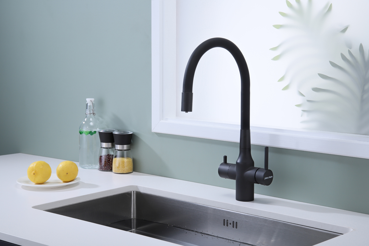 Превью картинка Смеситель для кухни Paulmark SALIX Sa213419-AN Антрацит #3