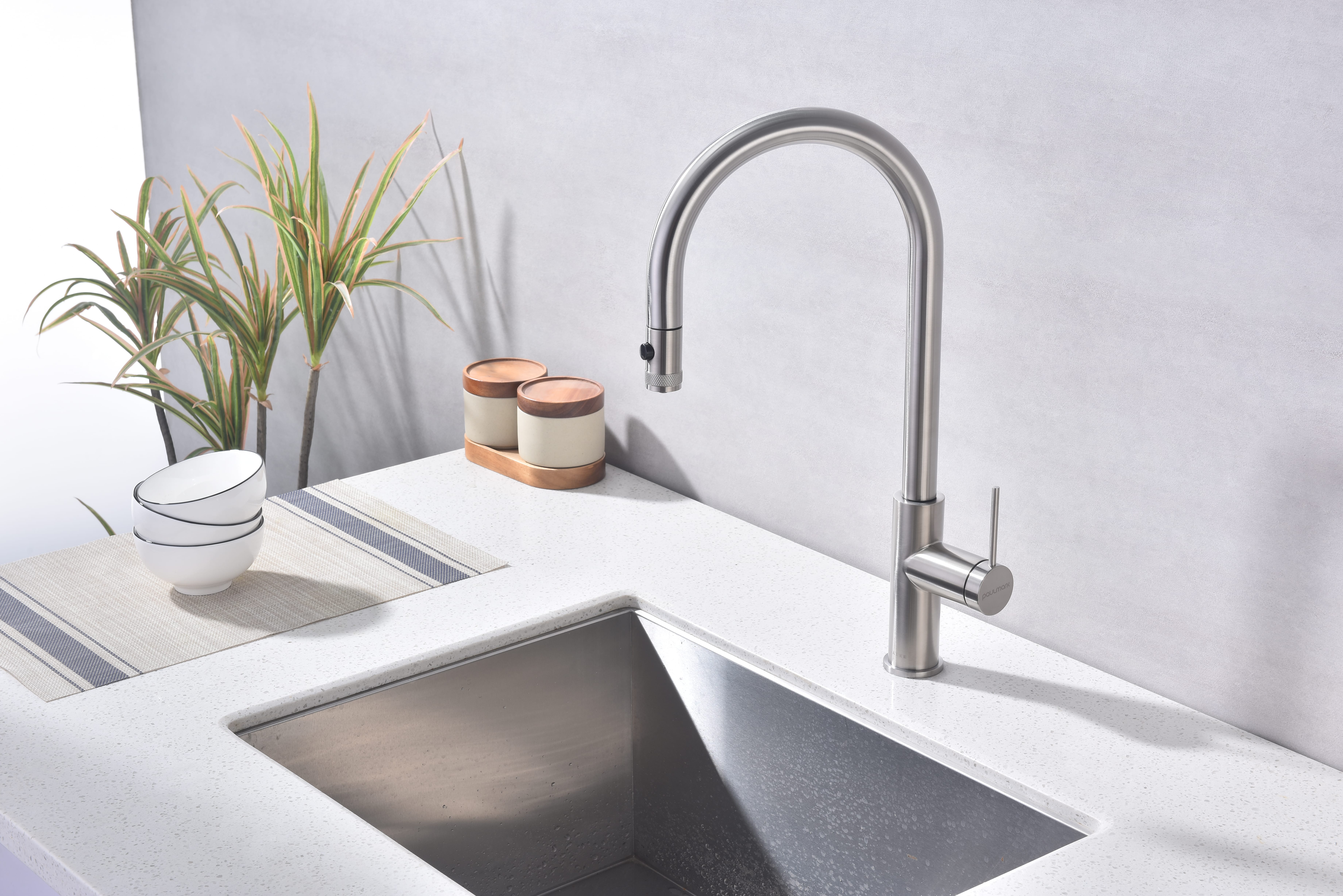 Превью картинка Смеситель для кухни Paulmark GALANT Ga213077-BS Брашированная сталь #3