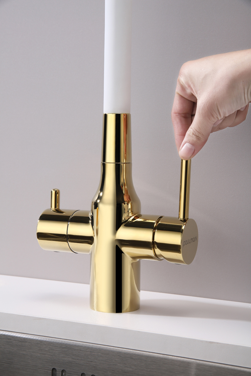 Превью картинка Смеситель для кухни Paulmark SALIX Sa213419-Gw Белый / золото #10