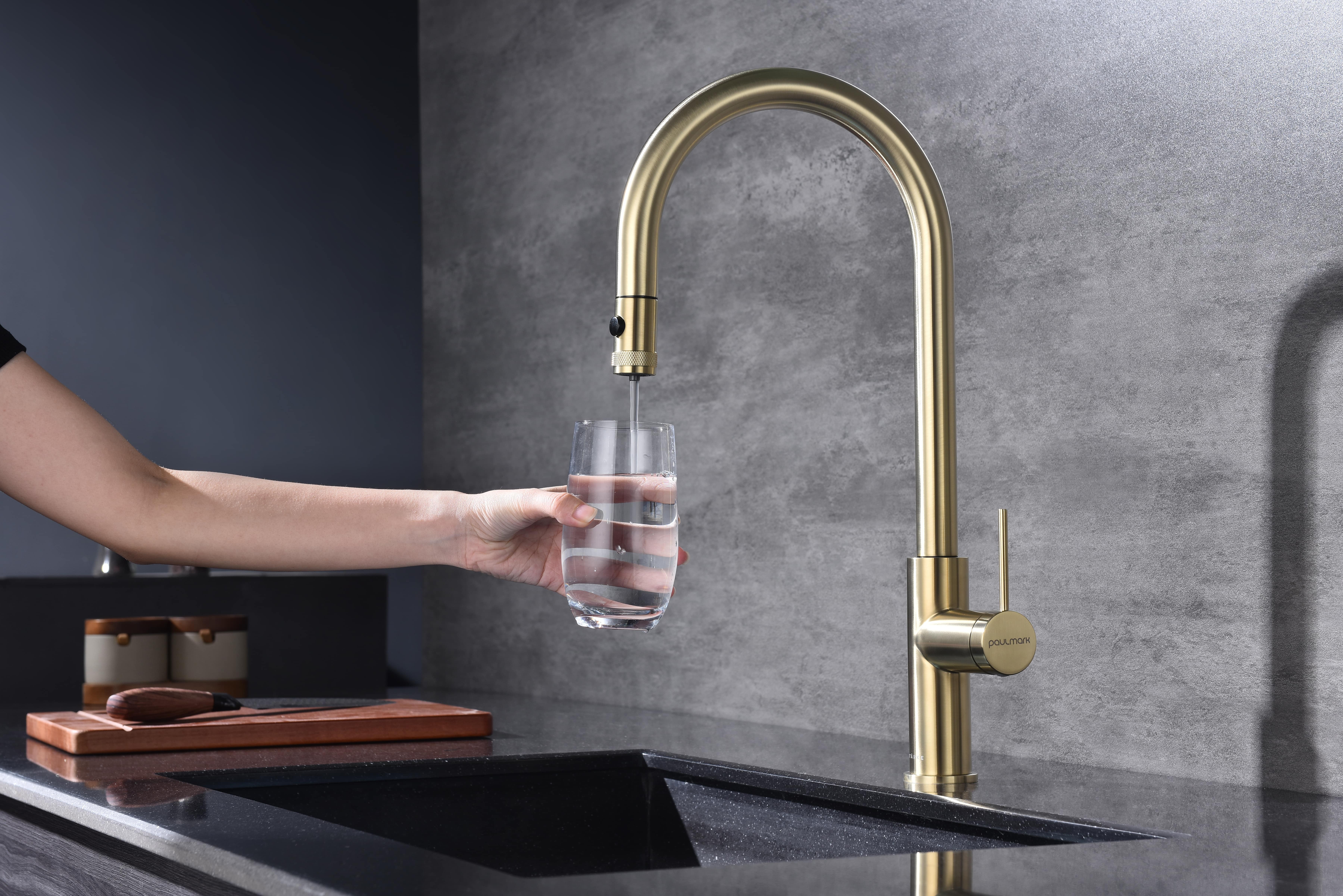 Превью картинка Смеситель для кухни Paulmark GALANT Ga213077-LG Светлое золото #6