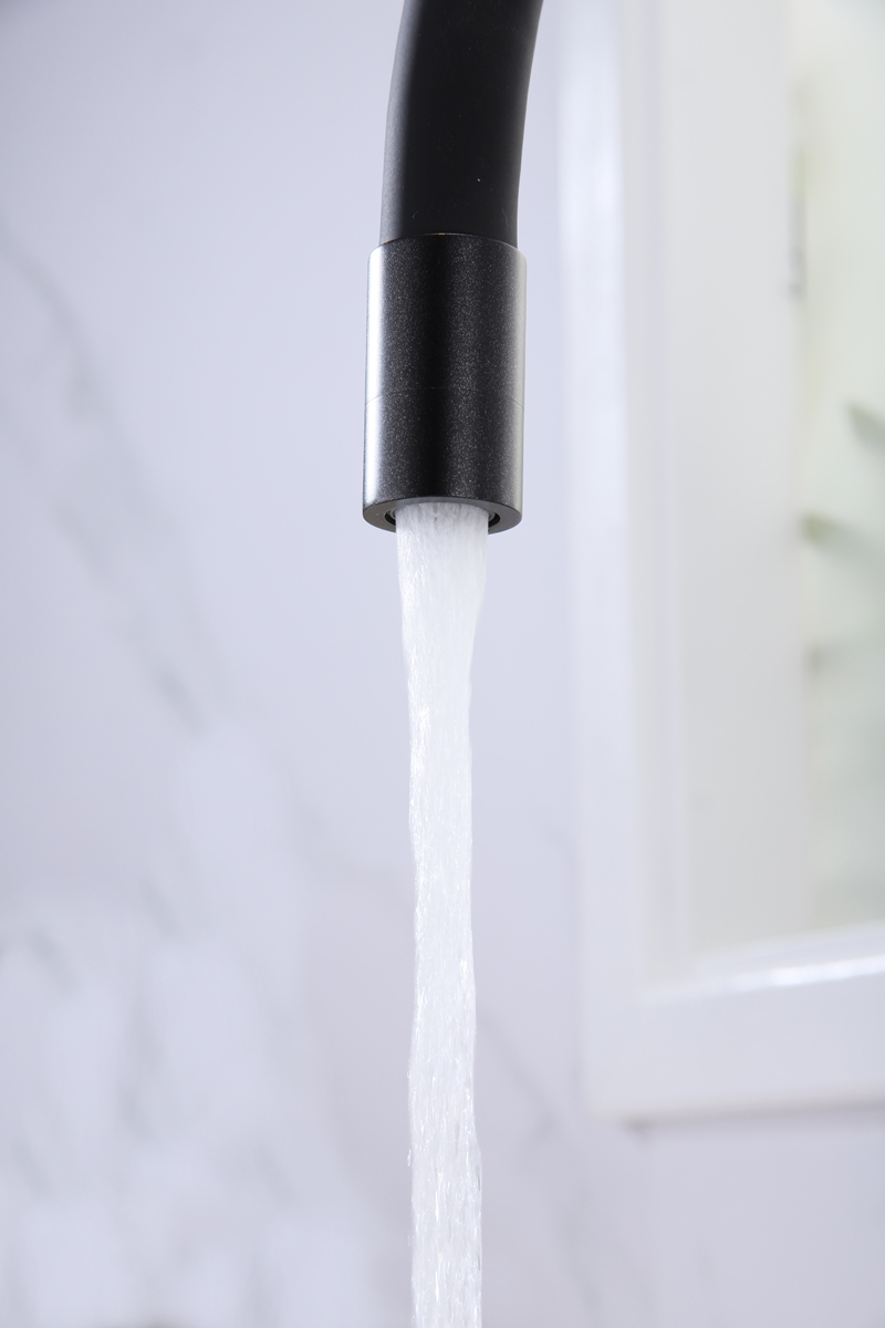 Превью картинка Смеситель для кухни Paulmark SALIX Sa213419-BLM Черный #8