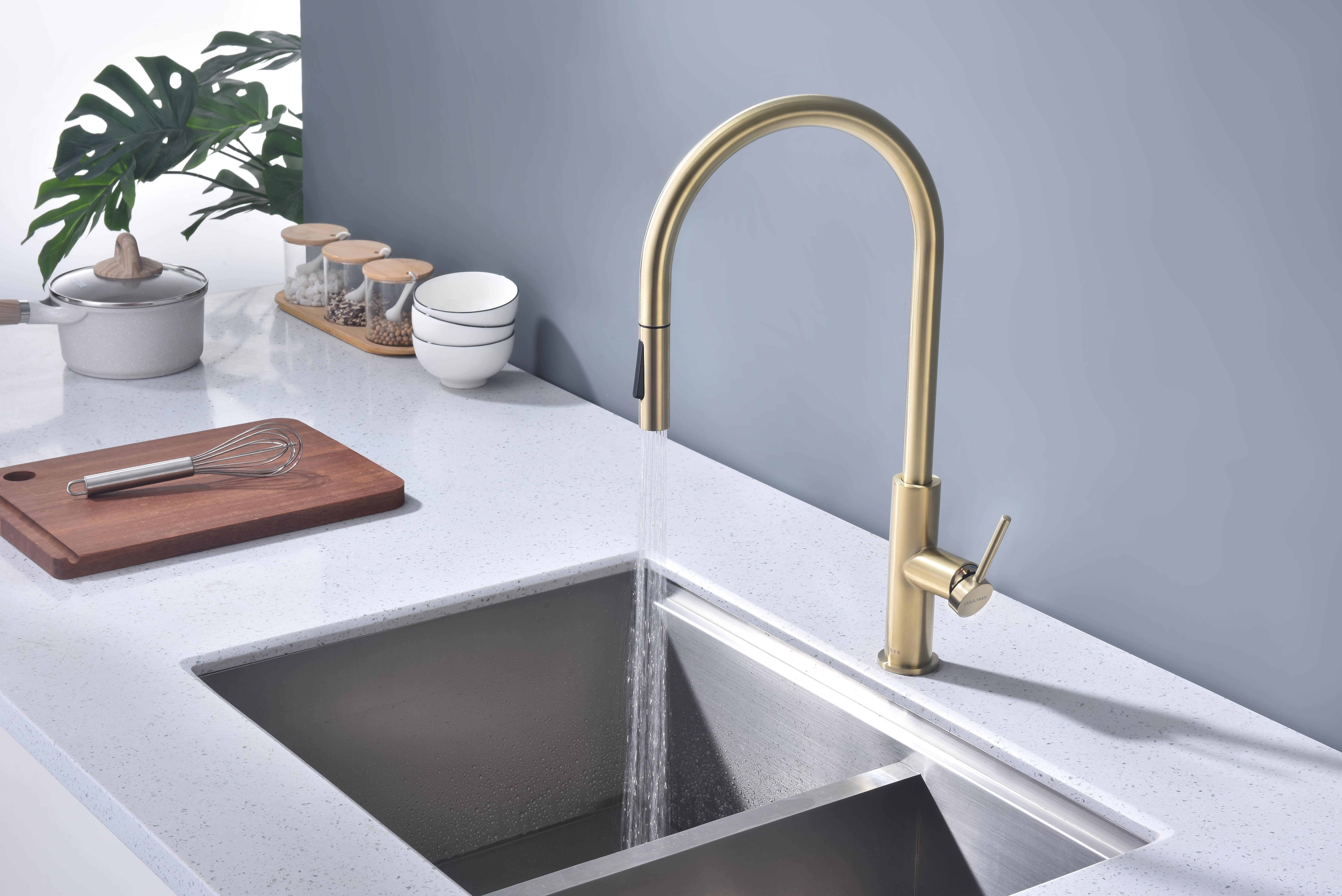 Превью картинка Смеситель для кухни Paulmark SENSO Se215180-LG Светлое золото #6