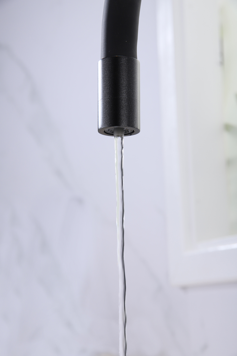 Превью картинка Смеситель для кухни Paulmark SALIX Sa213419-BLM Черный #9