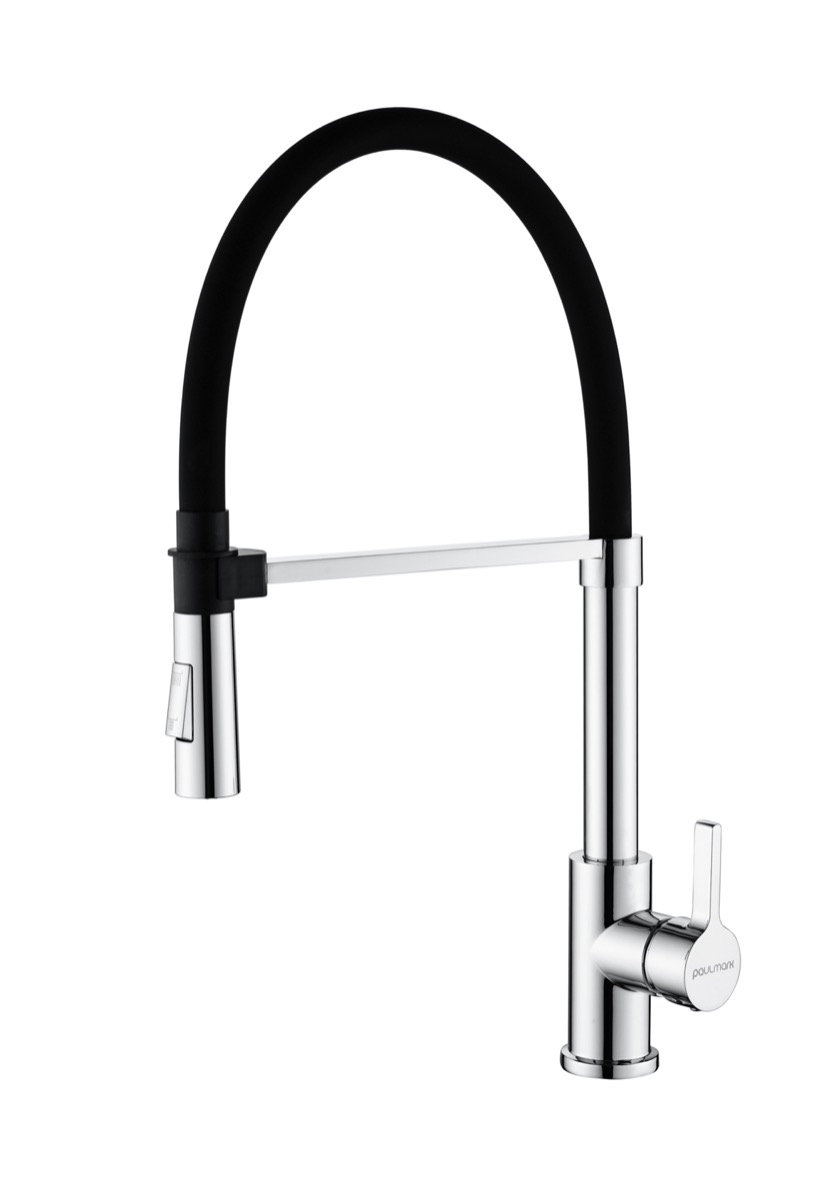 Превью картинка Смеситель для кухни Paulmark HALT Ha214021-CR Хром CR #2