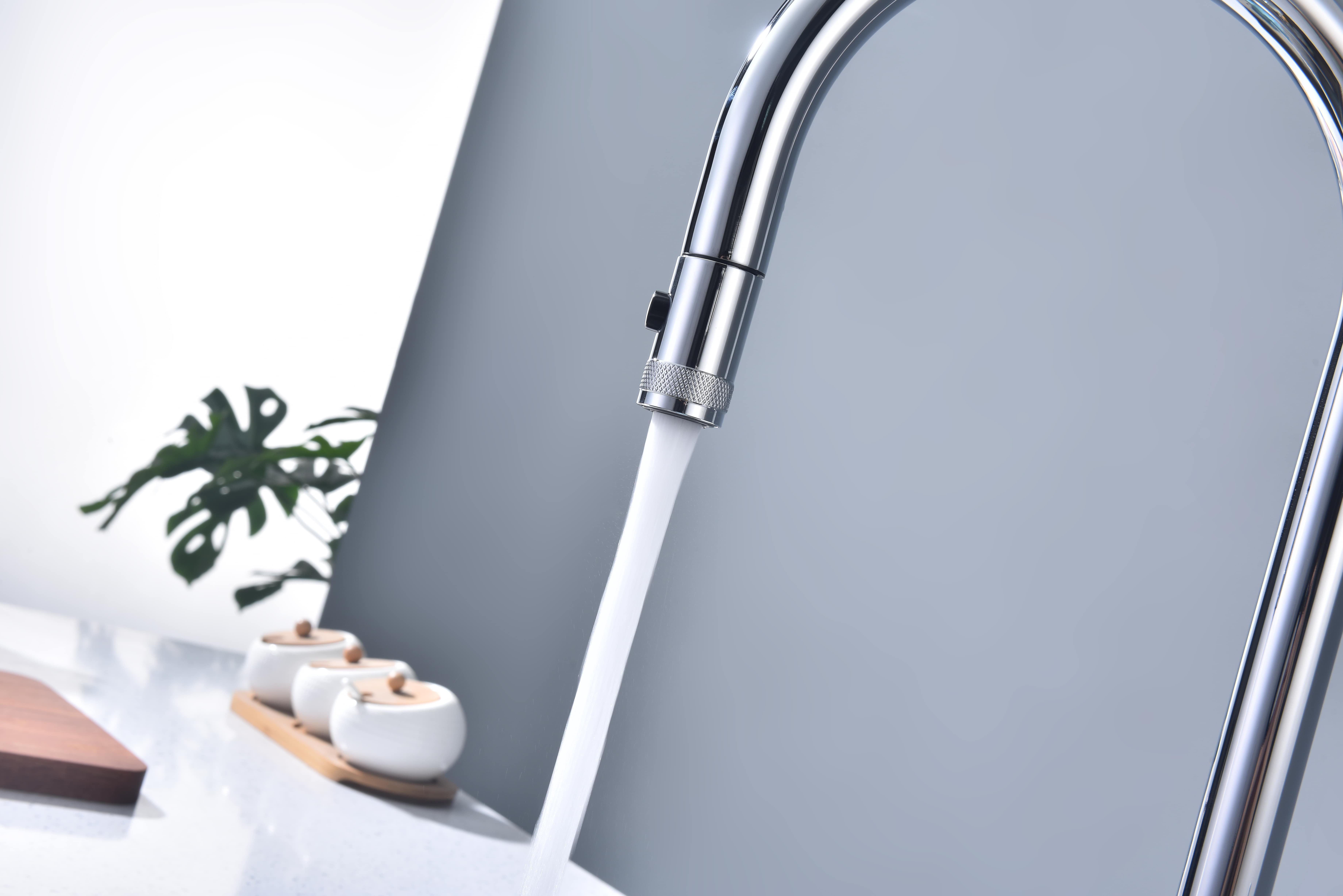 Превью картинка Смеситель для кухни Paulmark GALANT Ga213077-CR Хром CR #10