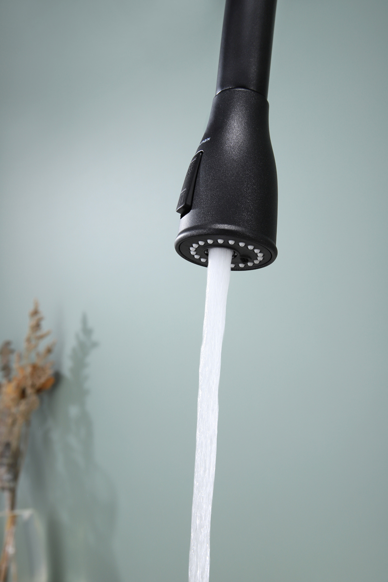 Превью картинка Смеситель для кухни Paulmark LANGE La214212-BLM Черный #9