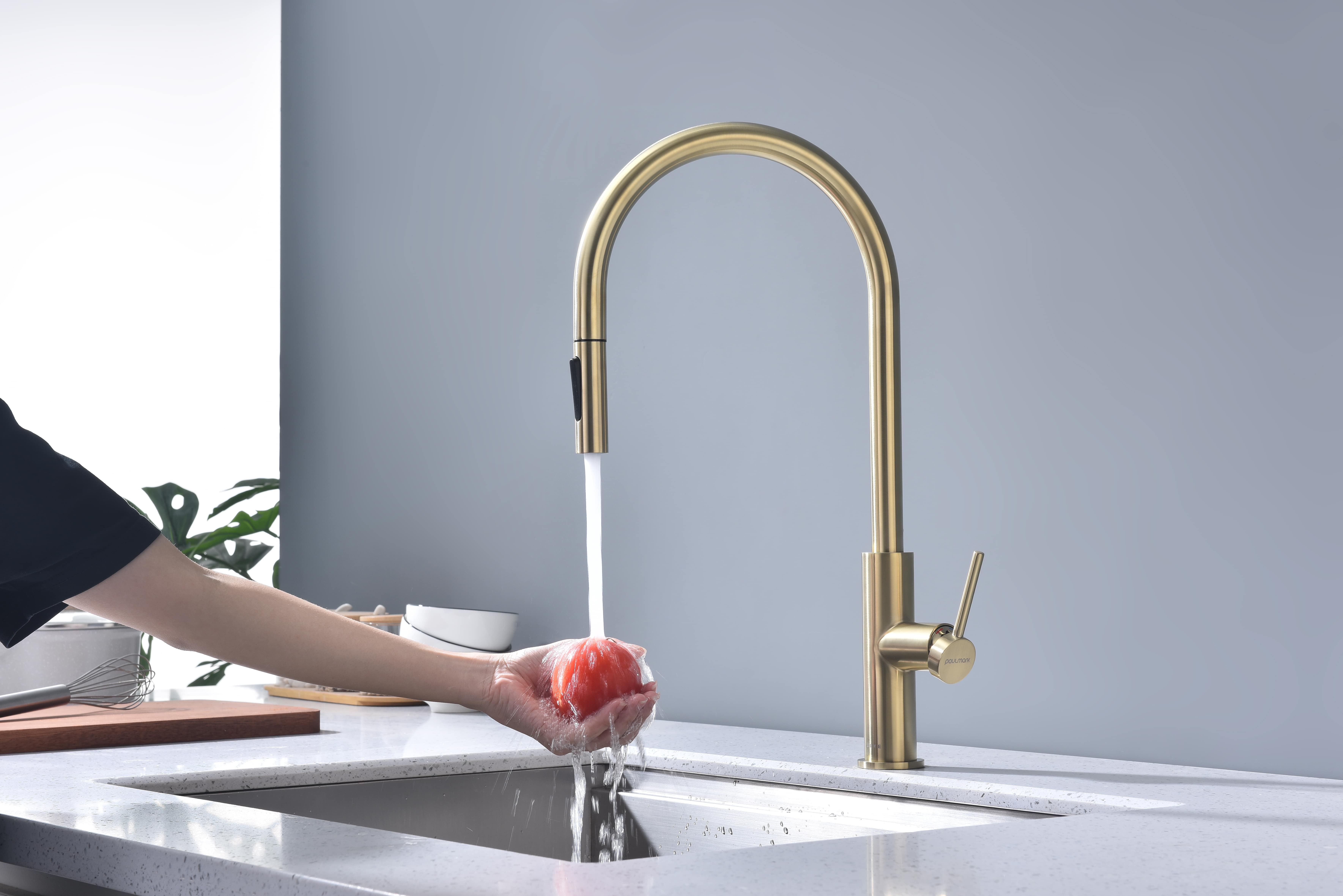 Превью картинка Смеситель для кухни Paulmark SENSO Se215180-LG Светлое золото #11