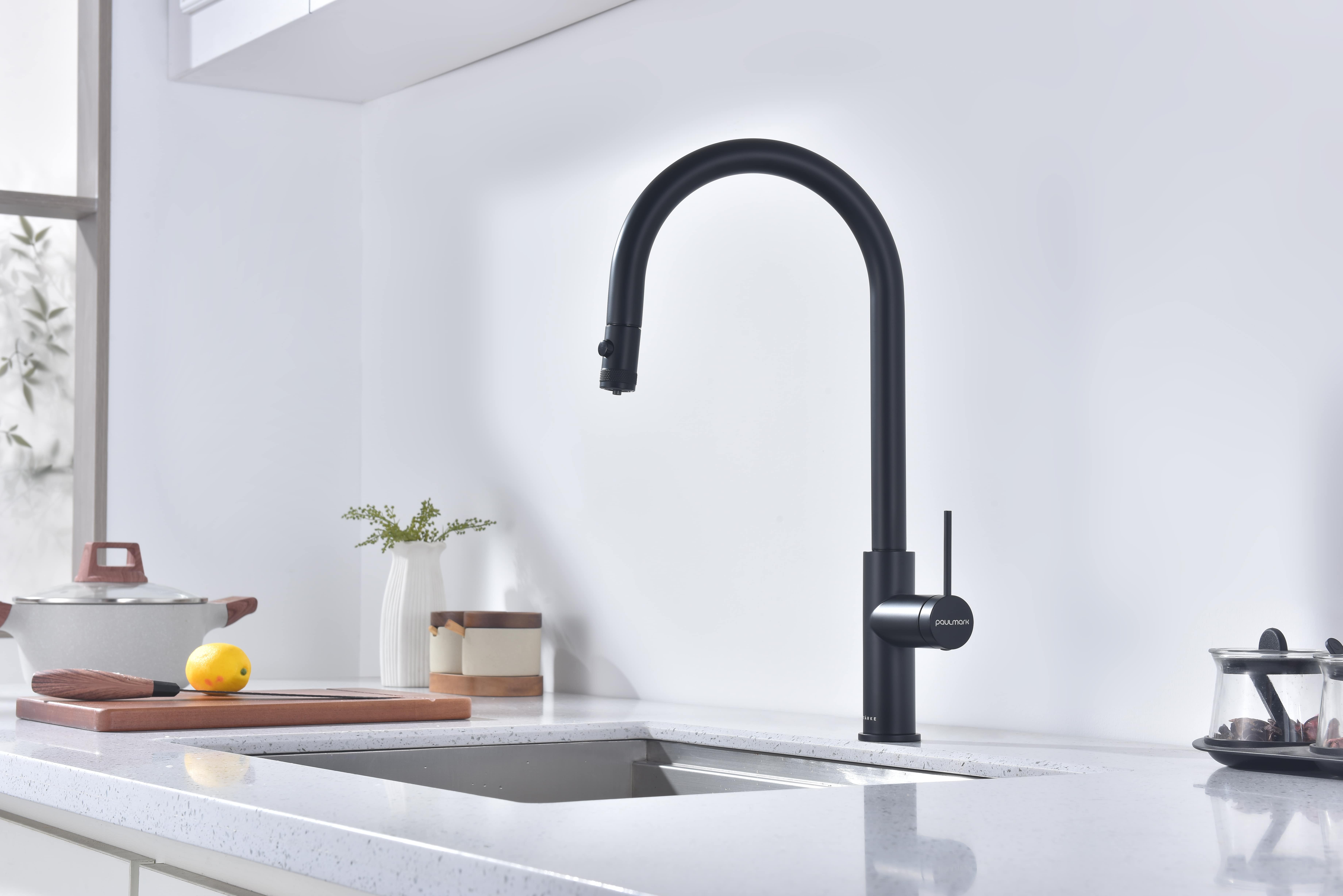 Превью картинка Смеситель для кухни Paulmark GALANT Ga213077-AN Антрацит #6