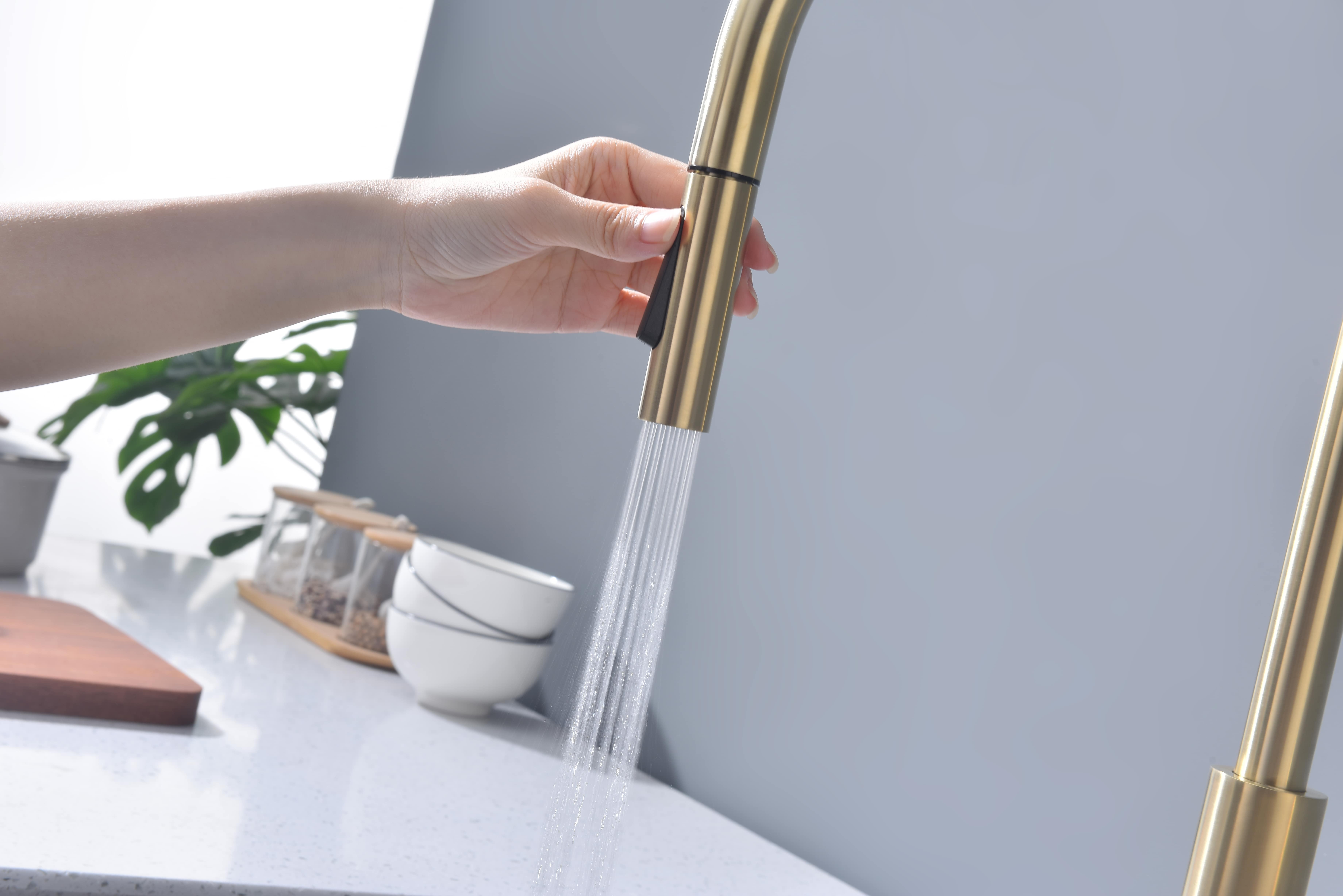 Превью картинка Смеситель для кухни Paulmark SENSO Se215180-LG Светлое золото #10