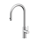 Превью картинка Смеситель для кухни Paulmark GALANT Ga213077-BS Брашированная сталь #1