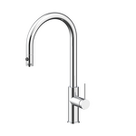 Превью картинка Смеситель для кухни Paulmark GALANT Ga213077-CR Хром CR #1