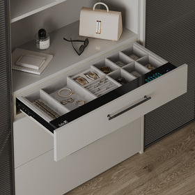 Картинка Duslar Выдвижной сейф ENIGMA с органайзером для украшений и аксессуаров, ширина 864 мм, шампань/бежевый