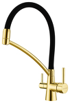 Превью картинка Смеситель для кухни Paulmark SIЕGEN Si213111-G Золото G #2