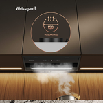 Превью картинка Полновстраиваемая вытяжка Weissgauff BOX 900 Remove Touch Black Glass #18