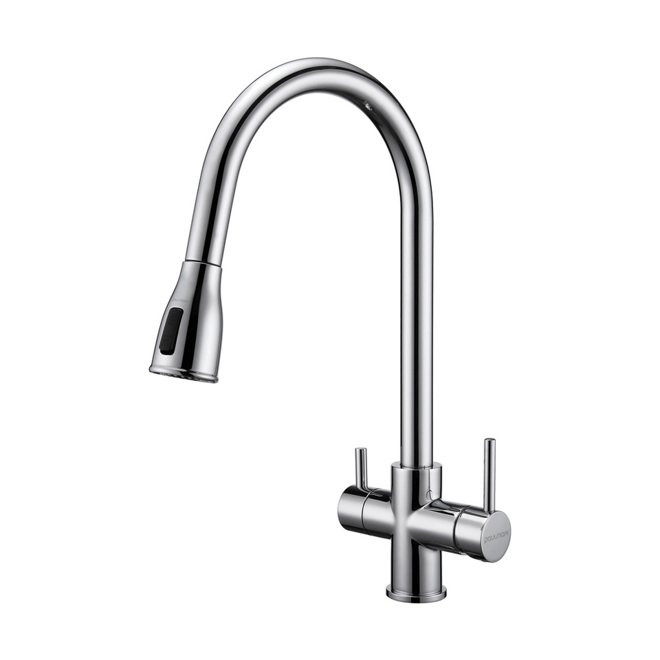 Фото Смеситель для кухни Paulmark LANGE La214212-CR Хром CR