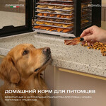 Превью картинка Сушилка для овощей и фруктов Дегидратор Meyvel MDH12-1S (Inox) #17