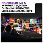 Превью картинка Телевизор Haier 58 Smart TV S5 Pro #9