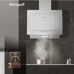 Превью картинка Наклонная вытяжка Weissgauff Zaurak 60 PB WH #6