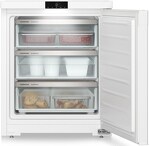 Превью картинка Камера морозильная Liebherr Fe 1003 #3