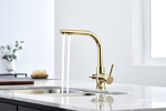 Превью картинка Смеситель для кухни Paulmark ESSEN Es213011 Es213011-G Золото G #6
