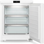 Превью картинка Камера морозильная Liebherr Fe 1003 #6