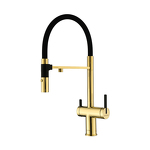 Превью картинка Смеситель для кухни Paulmark GRAVITY Gr213888-G Золото G #1