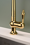 Превью картинка Смеситель для кухни Paulmark RETRO Re213226-G Золото G #12