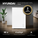 Превью картинка Ларь морозильный  Hyundai CH1002 #2