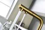 Превью картинка Смеситель для кухни Paulmark SERPENTINE Se213222-BG Брашированное золото BG #13